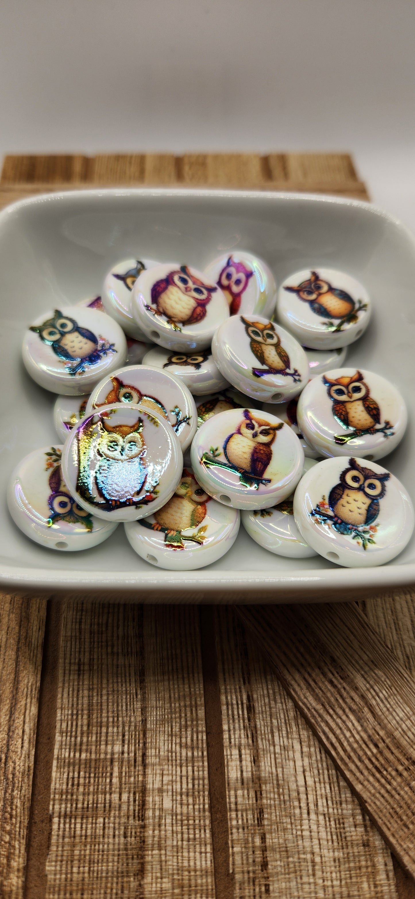 Acrylic Owl focal beads